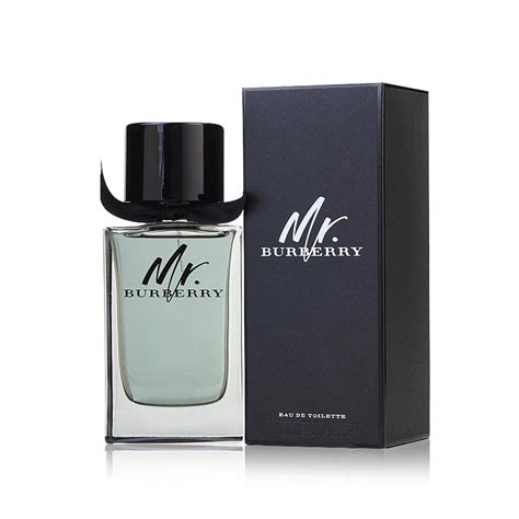 mr burberry for men revirw|best burberry cologne for men.